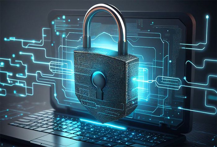 seguridad-cibernetica